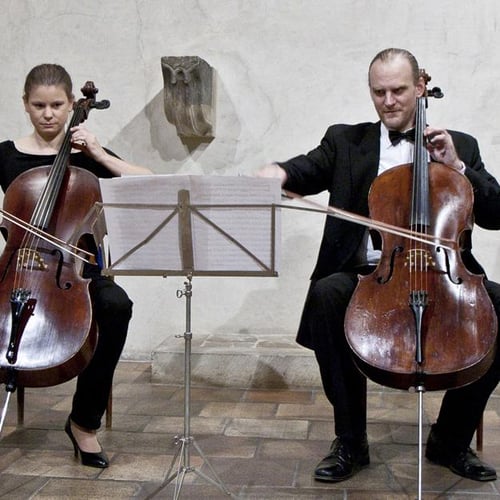 Duo Brikcius 2