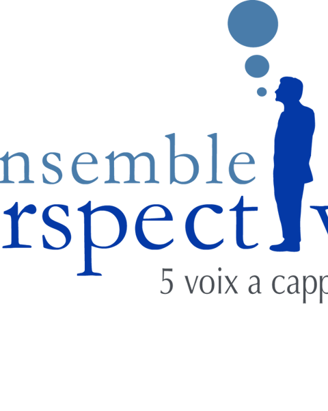 Ensemble Perspectives