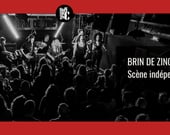 Brin d'Zinc au Brin de Zinc (on a presque le même nom !)