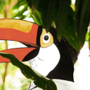 Ramó