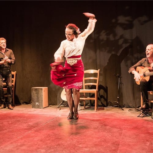 Cie Flamenco Vivo 2