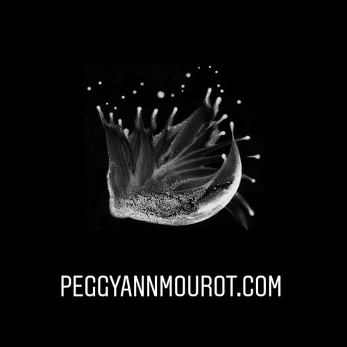 Peggy Ann Mourot 3