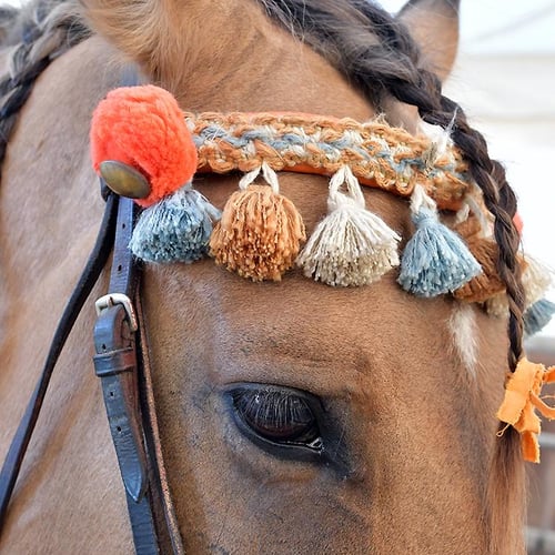 Compagnie EquiNote 1