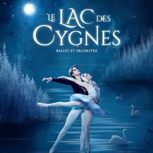 Le Lac des Cygnes