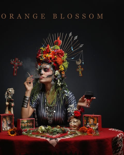 Orange Blossom