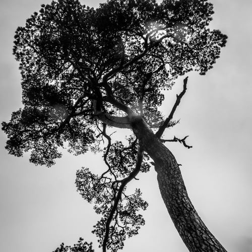 Stéphan Photographe 3