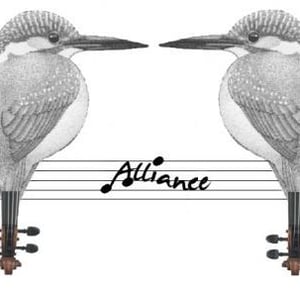 Ensemble alliance