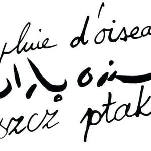 La Pluie d'Oiseaux