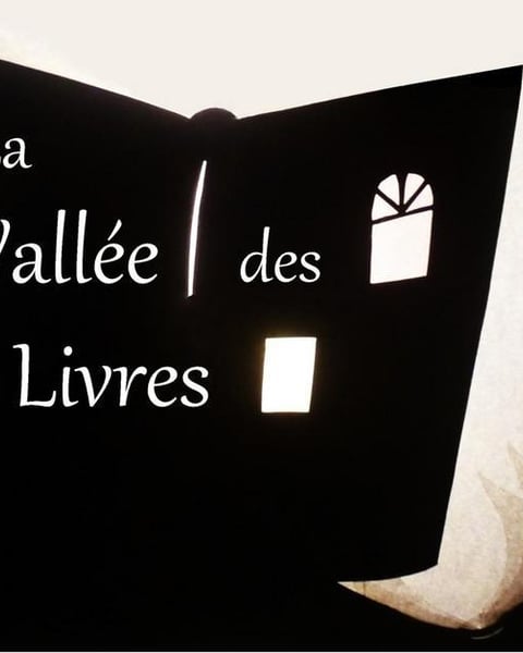 Les Lucarnes Songeuses