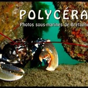 Yann Querrec