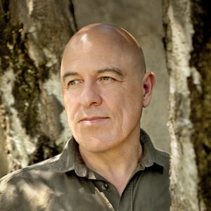 Dominique A