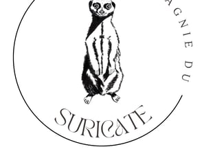Logo officiel de la Cie