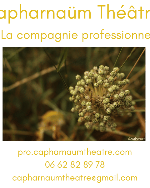 Visuel compagnie