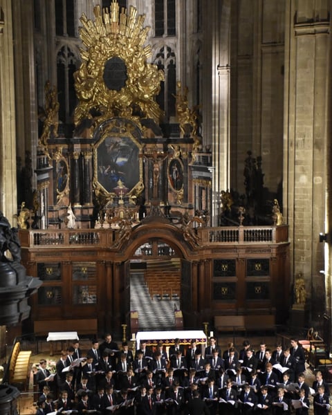 Concert des Petits Chanteurs de Saint-Joseph à Saint Maximin le 14 déc 2025