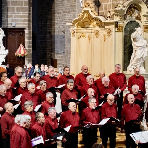 Concert cathédrale de Vannes