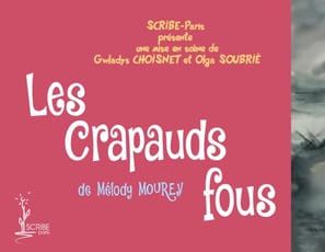 Bannière pour annoncer la pièce "Les Crapauds Fous"