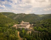 Le silence de la forêt