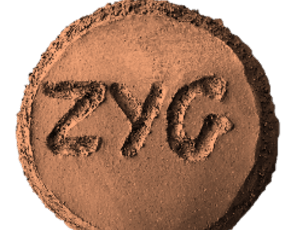 ZYG