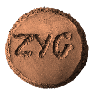 ZYG