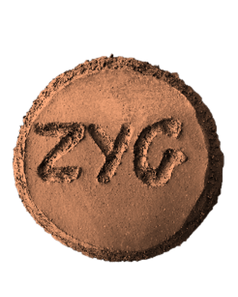 ZYG