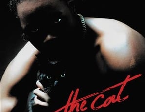 Nono La Grinta, The Cat