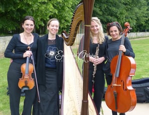 Ensemble professionnel classique