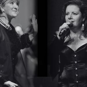 Les Zebulettes