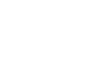 Ditz