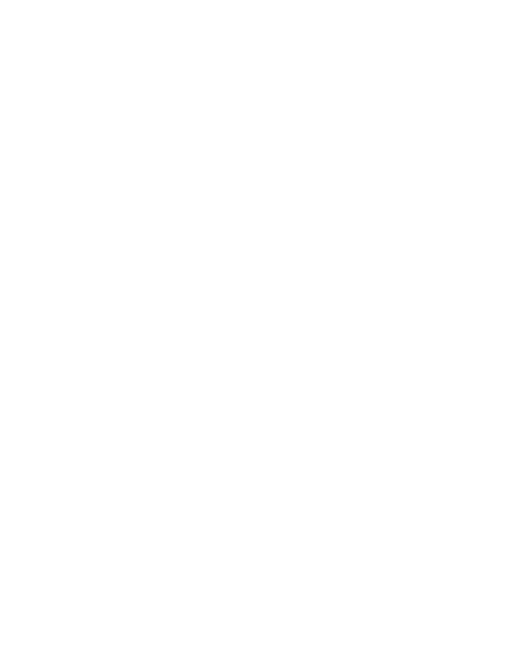 Ditz