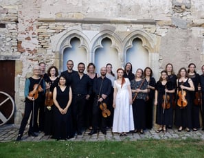 Ensemble Amarillis