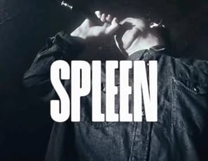 Spleen