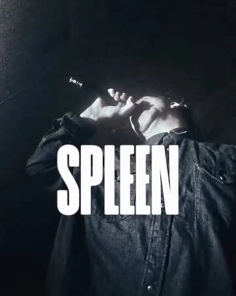 Spleen