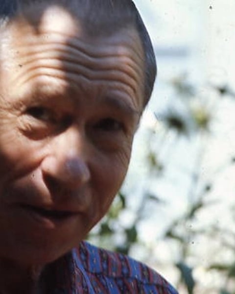 Alfred Manessier