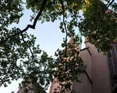 Bach, Pärt, Shaw, Nystedt...