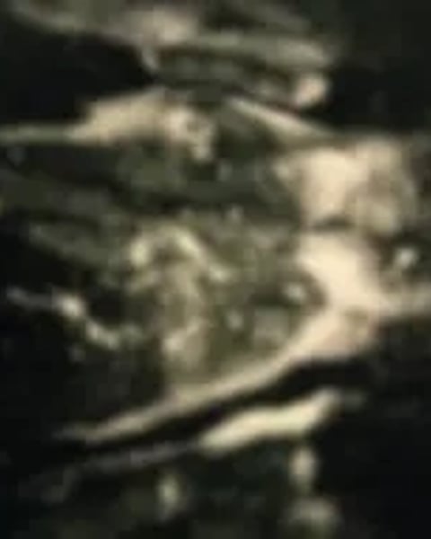 Jeanne Alechinsky