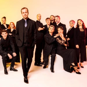ensemble Aedes
