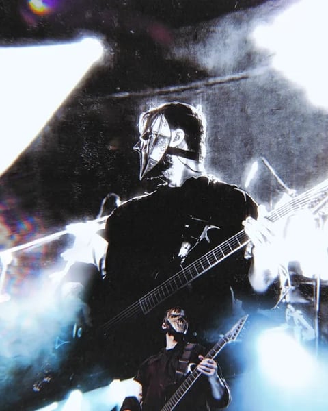 early maggots