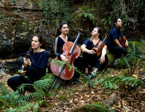 Quatuor Akilone