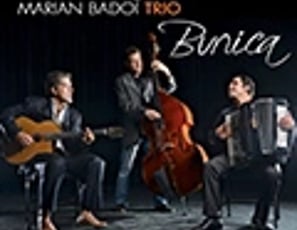 Marian Badoi
