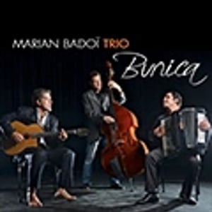 Marian Badoi