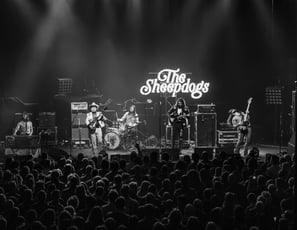 The Sheepdogs