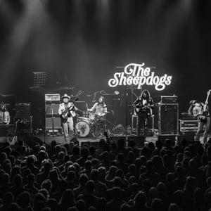 The Sheepdogs