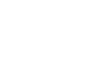 NORTHERN LIGHTS