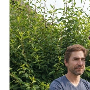 Sylvain Dubrez
