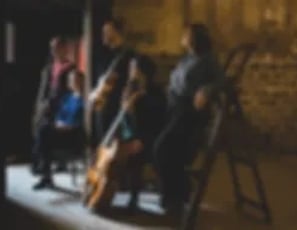 Le Concert de la Reine