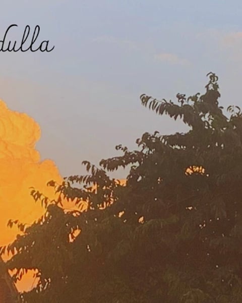 Cie Modula Medulla