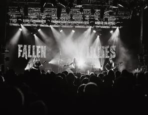 Fallen Lillies