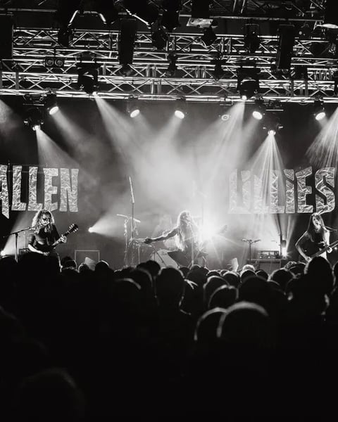 Fallen Lillies