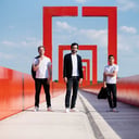 Trio zadig