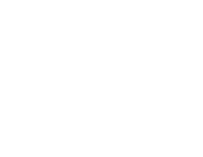 Nico Ripoll